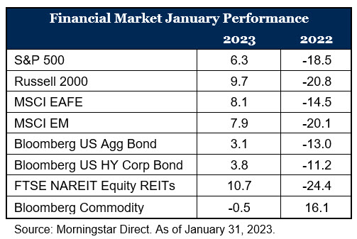 Financial Market January Performance
